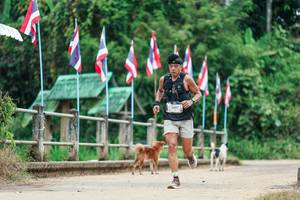 BIB: 
                            <button type="button" onclick="openModal(26943131)" class="btn btn-primary btn-sm float-right btn-popup" data-toggle="modal" data-target=".modal-high-quality">
                        <i class="fas fa-shopping-cart"></i> Add to Cart
                    </button>
                                            <button type="button" onclick="isThisMe(26943131, true)" class="btn btn-success btn-sm float-right btn-popup btn-isme hidden" data-toggle="tooltip" data-placement="bottom" title="นี่คือรูปของคุณใช่ไหม คลิกที่นี่เพื่อเอาเข้าอัลบั้ม">
                        <i class="fas fa-plus"></i> Add to album
                    </button>
                    <button type="button" onclick="isThisMe(26943131, false)" class="btn btn-warning btn-sm float-right btn-popup btn-isnotme hidden">
                        <i class="fas fa-ban"></i> Remove from album
                    </button>