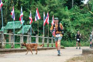 BIB: 
                            <button type="button" onclick="openModal(26943464)" class="btn btn-primary btn-sm float-right btn-popup" data-toggle="modal" data-target=".modal-high-quality">
                        <i class="fas fa-shopping-cart"></i> Add to Cart
                    </button>
                                            <button type="button" onclick="isThisMe(26943464, true)" class="btn btn-success btn-sm float-right btn-popup btn-isme hidden" data-toggle="tooltip" data-placement="bottom" title="นี่คือรูปของคุณใช่ไหม คลิกที่นี่เพื่อเอาเข้าอัลบั้ม">
                        <i class="fas fa-plus"></i> Add to album
                    </button>
                    <button type="button" onclick="isThisMe(26943464, false)" class="btn btn-warning btn-sm float-right btn-popup btn-isnotme hidden">
                        <i class="fas fa-ban"></i> Remove from album
                    </button>