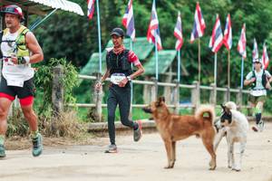 BIB: 
                            <button type="button" onclick="openModal(26943821)" class="btn btn-primary btn-sm float-right btn-popup" data-toggle="modal" data-target=".modal-high-quality">
                        <i class="fas fa-shopping-cart"></i> Add to Cart
                    </button>
                                            <button type="button" onclick="isThisMe(26943821, true)" class="btn btn-success btn-sm float-right btn-popup btn-isme hidden" data-toggle="tooltip" data-placement="bottom" title="นี่คือรูปของคุณใช่ไหม คลิกที่นี่เพื่อเอาเข้าอัลบั้ม">
                        <i class="fas fa-plus"></i> Add to album
                    </button>
                    <button type="button" onclick="isThisMe(26943821, false)" class="btn btn-warning btn-sm float-right btn-popup btn-isnotme hidden">
                        <i class="fas fa-ban"></i> Remove from album
                    </button>