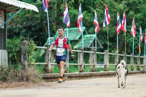 BIB: 
                            <button type="button" onclick="openModal(26943727)" class="btn btn-primary btn-sm float-right btn-popup" data-toggle="modal" data-target=".modal-high-quality">
                        <i class="fas fa-shopping-cart"></i> Add to Cart
                    </button>
                                            <button type="button" onclick="isThisMe(26943727, true)" class="btn btn-success btn-sm float-right btn-popup btn-isme hidden" data-toggle="tooltip" data-placement="bottom" title="นี่คือรูปของคุณใช่ไหม คลิกที่นี่เพื่อเอาเข้าอัลบั้ม">
                        <i class="fas fa-plus"></i> Add to album
                    </button>
                    <button type="button" onclick="isThisMe(26943727, false)" class="btn btn-warning btn-sm float-right btn-popup btn-isnotme hidden">
                        <i class="fas fa-ban"></i> Remove from album
                    </button>