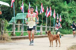 BIB: 
                            <button type="button" onclick="openModal(26943849)" class="btn btn-primary btn-sm float-right btn-popup" data-toggle="modal" data-target=".modal-high-quality">
                        <i class="fas fa-shopping-cart"></i> Add to Cart
                    </button>
                                            <button type="button" onclick="isThisMe(26943849, true)" class="btn btn-success btn-sm float-right btn-popup btn-isme hidden" data-toggle="tooltip" data-placement="bottom" title="นี่คือรูปของคุณใช่ไหม คลิกที่นี่เพื่อเอาเข้าอัลบั้ม">
                        <i class="fas fa-plus"></i> Add to album
                    </button>
                    <button type="button" onclick="isThisMe(26943849, false)" class="btn btn-warning btn-sm float-right btn-popup btn-isnotme hidden">
                        <i class="fas fa-ban"></i> Remove from album
                    </button>