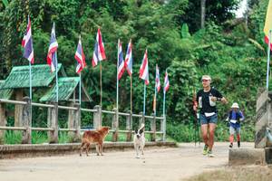 BIB: 
                            <button type="button" onclick="openModal(26943126)" class="btn btn-primary btn-sm float-right btn-popup" data-toggle="modal" data-target=".modal-high-quality">
                        <i class="fas fa-shopping-cart"></i> Add to Cart
                    </button>
                                            <button type="button" onclick="isThisMe(26943126, true)" class="btn btn-success btn-sm float-right btn-popup btn-isme hidden" data-toggle="tooltip" data-placement="bottom" title="นี่คือรูปของคุณใช่ไหม คลิกที่นี่เพื่อเอาเข้าอัลบั้ม">
                        <i class="fas fa-plus"></i> Add to album
                    </button>
                    <button type="button" onclick="isThisMe(26943126, false)" class="btn btn-warning btn-sm float-right btn-popup btn-isnotme hidden">
                        <i class="fas fa-ban"></i> Remove from album
                    </button>