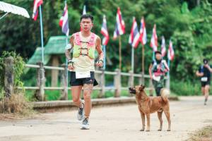 BIB: 
                            <button type="button" onclick="openModal(26943848)" class="btn btn-primary btn-sm float-right btn-popup" data-toggle="modal" data-target=".modal-high-quality">
                        <i class="fas fa-shopping-cart"></i> Add to Cart
                    </button>
                                            <button type="button" onclick="isThisMe(26943848, true)" class="btn btn-success btn-sm float-right btn-popup btn-isme hidden" data-toggle="tooltip" data-placement="bottom" title="นี่คือรูปของคุณใช่ไหม คลิกที่นี่เพื่อเอาเข้าอัลบั้ม">
                        <i class="fas fa-plus"></i> Add to album
                    </button>
                    <button type="button" onclick="isThisMe(26943848, false)" class="btn btn-warning btn-sm float-right btn-popup btn-isnotme hidden">
                        <i class="fas fa-ban"></i> Remove from album
                    </button>