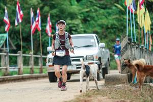 BIB: 
                            <button type="button" onclick="openModal(26943736)" class="btn btn-primary btn-sm float-right btn-popup" data-toggle="modal" data-target=".modal-high-quality">
                        <i class="fas fa-shopping-cart"></i> Add to Cart
                    </button>
                                            <button type="button" onclick="isThisMe(26943736, true)" class="btn btn-success btn-sm float-right btn-popup btn-isme hidden" data-toggle="tooltip" data-placement="bottom" title="นี่คือรูปของคุณใช่ไหม คลิกที่นี่เพื่อเอาเข้าอัลบั้ม">
                        <i class="fas fa-plus"></i> Add to album
                    </button>
                    <button type="button" onclick="isThisMe(26943736, false)" class="btn btn-warning btn-sm float-right btn-popup btn-isnotme hidden">
                        <i class="fas fa-ban"></i> Remove from album
                    </button>