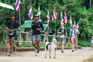 BIB: 
                            <button type="button" onclick="openModal(26943673)" class="btn btn-primary btn-sm float-right btn-popup" data-toggle="modal" data-target=".modal-high-quality">
                        <i class="fas fa-shopping-cart"></i> Add to Cart
                    </button>
                                            <button type="button" onclick="isThisMe(26943673, true)" class="btn btn-success btn-sm float-right btn-popup btn-isme hidden" data-toggle="tooltip" data-placement="bottom" title="นี่คือรูปของคุณใช่ไหม คลิกที่นี่เพื่อเอาเข้าอัลบั้ม">
                        <i class="fas fa-plus"></i> Add to album
                    </button>
                    <button type="button" onclick="isThisMe(26943673, false)" class="btn btn-warning btn-sm float-right btn-popup btn-isnotme hidden">
                        <i class="fas fa-ban"></i> Remove from album
                    </button>