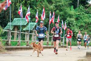 BIB: 
                            <button type="button" onclick="openModal(26943967)" class="btn btn-primary btn-sm float-right btn-popup" data-toggle="modal" data-target=".modal-high-quality">
                        <i class="fas fa-shopping-cart"></i> Add to Cart
                    </button>
                                            <button type="button" onclick="isThisMe(26943967, true)" class="btn btn-success btn-sm float-right btn-popup btn-isme hidden" data-toggle="tooltip" data-placement="bottom" title="นี่คือรูปของคุณใช่ไหม คลิกที่นี่เพื่อเอาเข้าอัลบั้ม">
                        <i class="fas fa-plus"></i> Add to album
                    </button>
                    <button type="button" onclick="isThisMe(26943967, false)" class="btn btn-warning btn-sm float-right btn-popup btn-isnotme hidden">
                        <i class="fas fa-ban"></i> Remove from album
                    </button>