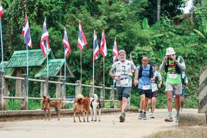 BIB: 
                            <button type="button" onclick="openModal(26942969)" class="btn btn-primary btn-sm float-right btn-popup" data-toggle="modal" data-target=".modal-high-quality">
                        <i class="fas fa-shopping-cart"></i> Add to Cart
                    </button>
                                            <button type="button" onclick="isThisMe(26942969, true)" class="btn btn-success btn-sm float-right btn-popup btn-isme hidden" data-toggle="tooltip" data-placement="bottom" title="นี่คือรูปของคุณใช่ไหม คลิกที่นี่เพื่อเอาเข้าอัลบั้ม">
                        <i class="fas fa-plus"></i> Add to album
                    </button>
                    <button type="button" onclick="isThisMe(26942969, false)" class="btn btn-warning btn-sm float-right btn-popup btn-isnotme hidden">
                        <i class="fas fa-ban"></i> Remove from album
                    </button>