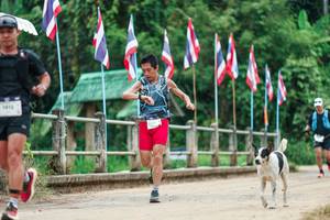 BIB: 
                            <button type="button" onclick="openModal(26943701)" class="btn btn-primary btn-sm float-right btn-popup" data-toggle="modal" data-target=".modal-high-quality">
                        <i class="fas fa-shopping-cart"></i> Add to Cart
                    </button>
                                            <button type="button" onclick="isThisMe(26943701, true)" class="btn btn-success btn-sm float-right btn-popup btn-isme hidden" data-toggle="tooltip" data-placement="bottom" title="นี่คือรูปของคุณใช่ไหม คลิกที่นี่เพื่อเอาเข้าอัลบั้ม">
                        <i class="fas fa-plus"></i> Add to album
                    </button>
                    <button type="button" onclick="isThisMe(26943701, false)" class="btn btn-warning btn-sm float-right btn-popup btn-isnotme hidden">
                        <i class="fas fa-ban"></i> Remove from album
                    </button>