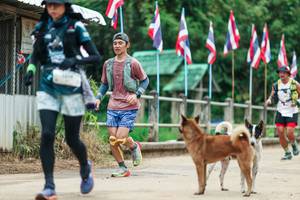 BIB: 
                            <button type="button" onclick="openModal(26943826)" class="btn btn-primary btn-sm float-right btn-popup" data-toggle="modal" data-target=".modal-high-quality">
                        <i class="fas fa-shopping-cart"></i> Add to Cart
                    </button>
                                            <button type="button" onclick="isThisMe(26943826, true)" class="btn btn-success btn-sm float-right btn-popup btn-isme hidden" data-toggle="tooltip" data-placement="bottom" title="นี่คือรูปของคุณใช่ไหม คลิกที่นี่เพื่อเอาเข้าอัลบั้ม">
                        <i class="fas fa-plus"></i> Add to album
                    </button>
                    <button type="button" onclick="isThisMe(26943826, false)" class="btn btn-warning btn-sm float-right btn-popup btn-isnotme hidden">
                        <i class="fas fa-ban"></i> Remove from album
                    </button>