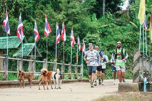 BIB: 
                            <button type="button" onclick="openModal(26942973)" class="btn btn-primary btn-sm float-right btn-popup" data-toggle="modal" data-target=".modal-high-quality">
                        <i class="fas fa-shopping-cart"></i> Add to Cart
                    </button>
                                            <button type="button" onclick="isThisMe(26942973, true)" class="btn btn-success btn-sm float-right btn-popup btn-isme hidden" data-toggle="tooltip" data-placement="bottom" title="นี่คือรูปของคุณใช่ไหม คลิกที่นี่เพื่อเอาเข้าอัลบั้ม">
                        <i class="fas fa-plus"></i> Add to album
                    </button>
                    <button type="button" onclick="isThisMe(26942973, false)" class="btn btn-warning btn-sm float-right btn-popup btn-isnotme hidden">
                        <i class="fas fa-ban"></i> Remove from album
                    </button>