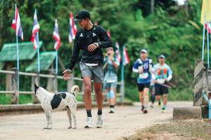 BIB: 
                            <button type="button" onclick="openModal(26943689)" class="btn btn-primary btn-sm float-right btn-popup" data-toggle="modal" data-target=".modal-high-quality">
                        <i class="fas fa-shopping-cart"></i> Add to Cart
                    </button>
                                            <button type="button" onclick="isThisMe(26943689, true)" class="btn btn-success btn-sm float-right btn-popup btn-isme hidden" data-toggle="tooltip" data-placement="bottom" title="นี่คือรูปของคุณใช่ไหม คลิกที่นี่เพื่อเอาเข้าอัลบั้ม">
                        <i class="fas fa-plus"></i> Add to album
                    </button>
                    <button type="button" onclick="isThisMe(26943689, false)" class="btn btn-warning btn-sm float-right btn-popup btn-isnotme hidden">
                        <i class="fas fa-ban"></i> Remove from album
                    </button>