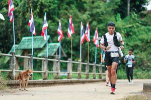 BIB: 
                            <button type="button" onclick="openModal(26943068)" class="btn btn-primary btn-sm float-right btn-popup" data-toggle="modal" data-target=".modal-high-quality">
                        <i class="fas fa-shopping-cart"></i> Add to Cart
                    </button>
                                            <button type="button" onclick="isThisMe(26943068, true)" class="btn btn-success btn-sm float-right btn-popup btn-isme hidden" data-toggle="tooltip" data-placement="bottom" title="นี่คือรูปของคุณใช่ไหม คลิกที่นี่เพื่อเอาเข้าอัลบั้ม">
                        <i class="fas fa-plus"></i> Add to album
                    </button>
                    <button type="button" onclick="isThisMe(26943068, false)" class="btn btn-warning btn-sm float-right btn-popup btn-isnotme hidden">
                        <i class="fas fa-ban"></i> Remove from album
                    </button>