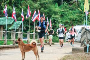 BIB: 
                            <button type="button" onclick="openModal(26943799)" class="btn btn-primary btn-sm float-right btn-popup" data-toggle="modal" data-target=".modal-high-quality">
                        <i class="fas fa-shopping-cart"></i> Add to Cart
                    </button>
                                            <button type="button" onclick="isThisMe(26943799, true)" class="btn btn-success btn-sm float-right btn-popup btn-isme hidden" data-toggle="tooltip" data-placement="bottom" title="นี่คือรูปของคุณใช่ไหม คลิกที่นี่เพื่อเอาเข้าอัลบั้ม">
                        <i class="fas fa-plus"></i> Add to album
                    </button>
                    <button type="button" onclick="isThisMe(26943799, false)" class="btn btn-warning btn-sm float-right btn-popup btn-isnotme hidden">
                        <i class="fas fa-ban"></i> Remove from album
                    </button>