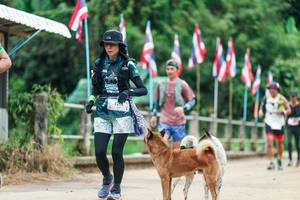 BIB: 
                            <button type="button" onclick="openModal(26943827)" class="btn btn-primary btn-sm float-right btn-popup" data-toggle="modal" data-target=".modal-high-quality">
                        <i class="fas fa-shopping-cart"></i> Add to Cart
                    </button>
                                            <button type="button" onclick="isThisMe(26943827, true)" class="btn btn-success btn-sm float-right btn-popup btn-isme hidden" data-toggle="tooltip" data-placement="bottom" title="นี่คือรูปของคุณใช่ไหม คลิกที่นี่เพื่อเอาเข้าอัลบั้ม">
                        <i class="fas fa-plus"></i> Add to album
                    </button>
                    <button type="button" onclick="isThisMe(26943827, false)" class="btn btn-warning btn-sm float-right btn-popup btn-isnotme hidden">
                        <i class="fas fa-ban"></i> Remove from album
                    </button>