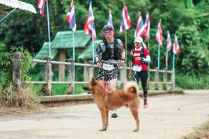 BIB: 
                            <button type="button" onclick="openModal(26943812)" class="btn btn-primary btn-sm float-right btn-popup" data-toggle="modal" data-target=".modal-high-quality">
                        <i class="fas fa-shopping-cart"></i> Add to Cart
                    </button>
                                            <button type="button" onclick="isThisMe(26943812, true)" class="btn btn-success btn-sm float-right btn-popup btn-isme hidden" data-toggle="tooltip" data-placement="bottom" title="นี่คือรูปของคุณใช่ไหม คลิกที่นี่เพื่อเอาเข้าอัลบั้ม">
                        <i class="fas fa-plus"></i> Add to album
                    </button>
                    <button type="button" onclick="isThisMe(26943812, false)" class="btn btn-warning btn-sm float-right btn-popup btn-isnotme hidden">
                        <i class="fas fa-ban"></i> Remove from album
                    </button>