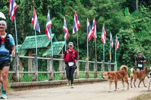 BIB: 
                            <button type="button" onclick="openModal(26943713)" class="btn btn-primary btn-sm float-right btn-popup" data-toggle="modal" data-target=".modal-high-quality">
                        <i class="fas fa-shopping-cart"></i> Add to Cart
                    </button>
                                            <button type="button" onclick="isThisMe(26943713, true)" class="btn btn-success btn-sm float-right btn-popup btn-isme hidden" data-toggle="tooltip" data-placement="bottom" title="นี่คือรูปของคุณใช่ไหม คลิกที่นี่เพื่อเอาเข้าอัลบั้ม">
                        <i class="fas fa-plus"></i> Add to album
                    </button>
                    <button type="button" onclick="isThisMe(26943713, false)" class="btn btn-warning btn-sm float-right btn-popup btn-isnotme hidden">
                        <i class="fas fa-ban"></i> Remove from album
                    </button>