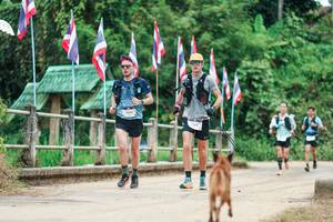 BIB: 
                            <button type="button" onclick="openModal(26944378)" class="btn btn-primary btn-sm float-right btn-popup" data-toggle="modal" data-target=".modal-high-quality">
                        <i class="fas fa-shopping-cart"></i> Add to Cart
                    </button>
                                            <button type="button" onclick="isThisMe(26944378, true)" class="btn btn-success btn-sm float-right btn-popup btn-isme hidden" data-toggle="tooltip" data-placement="bottom" title="นี่คือรูปของคุณใช่ไหม คลิกที่นี่เพื่อเอาเข้าอัลบั้ม">
                        <i class="fas fa-plus"></i> Add to album
                    </button>
                    <button type="button" onclick="isThisMe(26944378, false)" class="btn btn-warning btn-sm float-right btn-popup btn-isnotme hidden">
                        <i class="fas fa-ban"></i> Remove from album
                    </button>