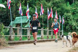 BIB: 
                            <button type="button" onclick="openModal(26943705)" class="btn btn-primary btn-sm float-right btn-popup" data-toggle="modal" data-target=".modal-high-quality">
                        <i class="fas fa-shopping-cart"></i> Add to Cart
                    </button>
                                            <button type="button" onclick="isThisMe(26943705, true)" class="btn btn-success btn-sm float-right btn-popup btn-isme hidden" data-toggle="tooltip" data-placement="bottom" title="นี่คือรูปของคุณใช่ไหม คลิกที่นี่เพื่อเอาเข้าอัลบั้ม">
                        <i class="fas fa-plus"></i> Add to album
                    </button>
                    <button type="button" onclick="isThisMe(26943705, false)" class="btn btn-warning btn-sm float-right btn-popup btn-isnotme hidden">
                        <i class="fas fa-ban"></i> Remove from album
                    </button>