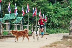 BIB: 
                            <button type="button" onclick="openModal(26943646)" class="btn btn-primary btn-sm float-right btn-popup" data-toggle="modal" data-target=".modal-high-quality">
                        <i class="fas fa-shopping-cart"></i> Add to Cart
                    </button>
                                            <button type="button" onclick="isThisMe(26943646, true)" class="btn btn-success btn-sm float-right btn-popup btn-isme hidden" data-toggle="tooltip" data-placement="bottom" title="นี่คือรูปของคุณใช่ไหม คลิกที่นี่เพื่อเอาเข้าอัลบั้ม">
                        <i class="fas fa-plus"></i> Add to album
                    </button>
                    <button type="button" onclick="isThisMe(26943646, false)" class="btn btn-warning btn-sm float-right btn-popup btn-isnotme hidden">
                        <i class="fas fa-ban"></i> Remove from album
                    </button>