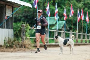 BIB: 
                            <button type="button" onclick="openModal(26943682)" class="btn btn-primary btn-sm float-right btn-popup" data-toggle="modal" data-target=".modal-high-quality">
                        <i class="fas fa-shopping-cart"></i> Add to Cart
                    </button>
                                            <button type="button" onclick="isThisMe(26943682, true)" class="btn btn-success btn-sm float-right btn-popup btn-isme hidden" data-toggle="tooltip" data-placement="bottom" title="นี่คือรูปของคุณใช่ไหม คลิกที่นี่เพื่อเอาเข้าอัลบั้ม">
                        <i class="fas fa-plus"></i> Add to album
                    </button>
                    <button type="button" onclick="isThisMe(26943682, false)" class="btn btn-warning btn-sm float-right btn-popup btn-isnotme hidden">
                        <i class="fas fa-ban"></i> Remove from album
                    </button>