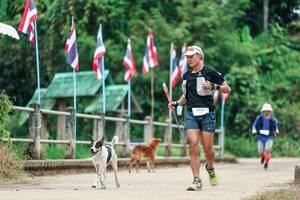 BIB: 
                            <button type="button" onclick="openModal(26943119)" class="btn btn-primary btn-sm float-right btn-popup" data-toggle="modal" data-target=".modal-high-quality">
                        <i class="fas fa-shopping-cart"></i> Add to Cart
                    </button>
                                            <button type="button" onclick="isThisMe(26943119, true)" class="btn btn-success btn-sm float-right btn-popup btn-isme hidden" data-toggle="tooltip" data-placement="bottom" title="นี่คือรูปของคุณใช่ไหม คลิกที่นี่เพื่อเอาเข้าอัลบั้ม">
                        <i class="fas fa-plus"></i> Add to album
                    </button>
                    <button type="button" onclick="isThisMe(26943119, false)" class="btn btn-warning btn-sm float-right btn-popup btn-isnotme hidden">
                        <i class="fas fa-ban"></i> Remove from album
                    </button>