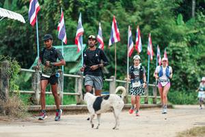 BIB: 
                            <button type="button" onclick="openModal(26943676)" class="btn btn-primary btn-sm float-right btn-popup" data-toggle="modal" data-target=".modal-high-quality">
                        <i class="fas fa-shopping-cart"></i> Add to Cart
                    </button>
                                            <button type="button" onclick="isThisMe(26943676, true)" class="btn btn-success btn-sm float-right btn-popup btn-isme hidden" data-toggle="tooltip" data-placement="bottom" title="นี่คือรูปของคุณใช่ไหม คลิกที่นี่เพื่อเอาเข้าอัลบั้ม">
                        <i class="fas fa-plus"></i> Add to album
                    </button>
                    <button type="button" onclick="isThisMe(26943676, false)" class="btn btn-warning btn-sm float-right btn-popup btn-isnotme hidden">
                        <i class="fas fa-ban"></i> Remove from album
                    </button>