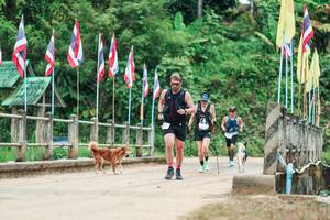 BIB: 
                            <button type="button" onclick="openModal(26944250)" class="btn btn-primary btn-sm float-right btn-popup" data-toggle="modal" data-target=".modal-high-quality">
                        <i class="fas fa-shopping-cart"></i> Add to Cart
                    </button>
                                            <button type="button" onclick="isThisMe(26944250, true)" class="btn btn-success btn-sm float-right btn-popup btn-isme hidden" data-toggle="tooltip" data-placement="bottom" title="นี่คือรูปของคุณใช่ไหม คลิกที่นี่เพื่อเอาเข้าอัลบั้ม">
                        <i class="fas fa-plus"></i> Add to album
                    </button>
                    <button type="button" onclick="isThisMe(26944250, false)" class="btn btn-warning btn-sm float-right btn-popup btn-isnotme hidden">
                        <i class="fas fa-ban"></i> Remove from album
                    </button>