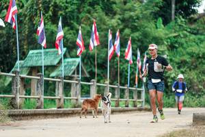 BIB: 
                            <button type="button" onclick="openModal(26943122)" class="btn btn-primary btn-sm float-right btn-popup" data-toggle="modal" data-target=".modal-high-quality">
                        <i class="fas fa-shopping-cart"></i> Add to Cart
                    </button>
                                            <button type="button" onclick="isThisMe(26943122, true)" class="btn btn-success btn-sm float-right btn-popup btn-isme hidden" data-toggle="tooltip" data-placement="bottom" title="นี่คือรูปของคุณใช่ไหม คลิกที่นี่เพื่อเอาเข้าอัลบั้ม">
                        <i class="fas fa-plus"></i> Add to album
                    </button>
                    <button type="button" onclick="isThisMe(26943122, false)" class="btn btn-warning btn-sm float-right btn-popup btn-isnotme hidden">
                        <i class="fas fa-ban"></i> Remove from album
                    </button>