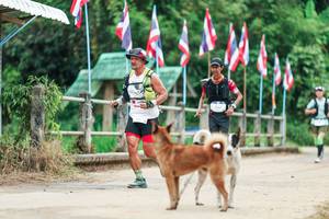 BIB: 
                            <button type="button" onclick="openModal(26943823)" class="btn btn-primary btn-sm float-right btn-popup" data-toggle="modal" data-target=".modal-high-quality">
                        <i class="fas fa-shopping-cart"></i> Add to Cart
                    </button>
                                            <button type="button" onclick="isThisMe(26943823, true)" class="btn btn-success btn-sm float-right btn-popup btn-isme hidden" data-toggle="tooltip" data-placement="bottom" title="นี่คือรูปของคุณใช่ไหม คลิกที่นี่เพื่อเอาเข้าอัลบั้ม">
                        <i class="fas fa-plus"></i> Add to album
                    </button>
                    <button type="button" onclick="isThisMe(26943823, false)" class="btn btn-warning btn-sm float-right btn-popup btn-isnotme hidden">
                        <i class="fas fa-ban"></i> Remove from album
                    </button>