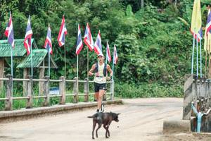 BIB: 
                            <button type="button" onclick="openModal(26945024)" class="btn btn-primary btn-sm float-right btn-popup" data-toggle="modal" data-target=".modal-high-quality">
                        <i class="fas fa-shopping-cart"></i> Add to Cart
                    </button>
                                            <button type="button" onclick="isThisMe(26945024, true)" class="btn btn-success btn-sm float-right btn-popup btn-isme hidden" data-toggle="tooltip" data-placement="bottom" title="นี่คือรูปของคุณใช่ไหม คลิกที่นี่เพื่อเอาเข้าอัลบั้ม">
                        <i class="fas fa-plus"></i> Add to album
                    </button>
                    <button type="button" onclick="isThisMe(26945024, false)" class="btn btn-warning btn-sm float-right btn-popup btn-isnotme hidden">
                        <i class="fas fa-ban"></i> Remove from album
                    </button>