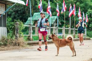 BIB: 
                            <button type="button" onclick="openModal(26943806)" class="btn btn-primary btn-sm float-right btn-popup" data-toggle="modal" data-target=".modal-high-quality">
                        <i class="fas fa-shopping-cart"></i> Add to Cart
                    </button>
                                            <button type="button" onclick="isThisMe(26943806, true)" class="btn btn-success btn-sm float-right btn-popup btn-isme hidden" data-toggle="tooltip" data-placement="bottom" title="นี่คือรูปของคุณใช่ไหม คลิกที่นี่เพื่อเอาเข้าอัลบั้ม">
                        <i class="fas fa-plus"></i> Add to album
                    </button>
                    <button type="button" onclick="isThisMe(26943806, false)" class="btn btn-warning btn-sm float-right btn-popup btn-isnotme hidden">
                        <i class="fas fa-ban"></i> Remove from album
                    </button>