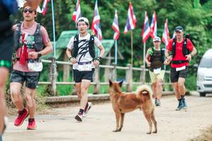 BIB: 
                            <button type="button" onclick="openModal(26943791)" class="btn btn-primary btn-sm float-right btn-popup" data-toggle="modal" data-target=".modal-high-quality">
                        <i class="fas fa-shopping-cart"></i> Add to Cart
                    </button>
                                            <button type="button" onclick="isThisMe(26943791, true)" class="btn btn-success btn-sm float-right btn-popup btn-isme hidden" data-toggle="tooltip" data-placement="bottom" title="นี่คือรูปของคุณใช่ไหม คลิกที่นี่เพื่อเอาเข้าอัลบั้ม">
                        <i class="fas fa-plus"></i> Add to album
                    </button>
                    <button type="button" onclick="isThisMe(26943791, false)" class="btn btn-warning btn-sm float-right btn-popup btn-isnotme hidden">
                        <i class="fas fa-ban"></i> Remove from album
                    </button>