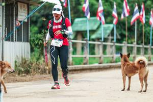 BIB: 
                            <button type="button" onclick="openModal(26943808)" class="btn btn-primary btn-sm float-right btn-popup" data-toggle="modal" data-target=".modal-high-quality">
                        <i class="fas fa-shopping-cart"></i> Add to Cart
                    </button>
                                            <button type="button" onclick="isThisMe(26943808, true)" class="btn btn-success btn-sm float-right btn-popup btn-isme hidden" data-toggle="tooltip" data-placement="bottom" title="นี่คือรูปของคุณใช่ไหม คลิกที่นี่เพื่อเอาเข้าอัลบั้ม">
                        <i class="fas fa-plus"></i> Add to album
                    </button>
                    <button type="button" onclick="isThisMe(26943808, false)" class="btn btn-warning btn-sm float-right btn-popup btn-isnotme hidden">
                        <i class="fas fa-ban"></i> Remove from album
                    </button>