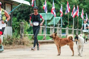 BIB: 
                            <button type="button" onclick="openModal(26943820)" class="btn btn-primary btn-sm float-right btn-popup" data-toggle="modal" data-target=".modal-high-quality">
                        <i class="fas fa-shopping-cart"></i> Add to Cart
                    </button>
                                            <button type="button" onclick="isThisMe(26943820, true)" class="btn btn-success btn-sm float-right btn-popup btn-isme hidden" data-toggle="tooltip" data-placement="bottom" title="นี่คือรูปของคุณใช่ไหม คลิกที่นี่เพื่อเอาเข้าอัลบั้ม">
                        <i class="fas fa-plus"></i> Add to album
                    </button>
                    <button type="button" onclick="isThisMe(26943820, false)" class="btn btn-warning btn-sm float-right btn-popup btn-isnotme hidden">
                        <i class="fas fa-ban"></i> Remove from album
                    </button>