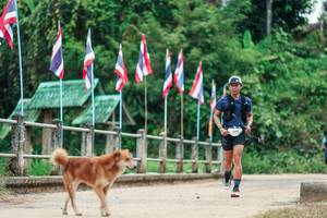 BIB: 
                            <button type="button" onclick="openModal(26943234)" class="btn btn-primary btn-sm float-right btn-popup" data-toggle="modal" data-target=".modal-high-quality">
                        <i class="fas fa-shopping-cart"></i> Add to Cart
                    </button>
                                            <button type="button" onclick="isThisMe(26943234, true)" class="btn btn-success btn-sm float-right btn-popup btn-isme hidden" data-toggle="tooltip" data-placement="bottom" title="นี่คือรูปของคุณใช่ไหม คลิกที่นี่เพื่อเอาเข้าอัลบั้ม">
                        <i class="fas fa-plus"></i> Add to album
                    </button>
                    <button type="button" onclick="isThisMe(26943234, false)" class="btn btn-warning btn-sm float-right btn-popup btn-isnotme hidden">
                        <i class="fas fa-ban"></i> Remove from album
                    </button>