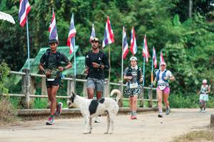 BIB: 
                            <button type="button" onclick="openModal(26943677)" class="btn btn-primary btn-sm float-right btn-popup" data-toggle="modal" data-target=".modal-high-quality">
                        <i class="fas fa-shopping-cart"></i> Add to Cart
                    </button>
                                            <button type="button" onclick="isThisMe(26943677, true)" class="btn btn-success btn-sm float-right btn-popup btn-isme hidden" data-toggle="tooltip" data-placement="bottom" title="นี่คือรูปของคุณใช่ไหม คลิกที่นี่เพื่อเอาเข้าอัลบั้ม">
                        <i class="fas fa-plus"></i> Add to album
                    </button>
                    <button type="button" onclick="isThisMe(26943677, false)" class="btn btn-warning btn-sm float-right btn-popup btn-isnotme hidden">
                        <i class="fas fa-ban"></i> Remove from album
                    </button>