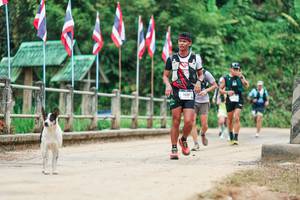 BIB: 
                            <button type="button" onclick="openModal(26944269)" class="btn btn-primary btn-sm float-right btn-popup" data-toggle="modal" data-target=".modal-high-quality">
                        <i class="fas fa-shopping-cart"></i> Add to Cart
                    </button>
                                            <button type="button" onclick="isThisMe(26944269, true)" class="btn btn-success btn-sm float-right btn-popup btn-isme hidden" data-toggle="tooltip" data-placement="bottom" title="นี่คือรูปของคุณใช่ไหม คลิกที่นี่เพื่อเอาเข้าอัลบั้ม">
                        <i class="fas fa-plus"></i> Add to album
                    </button>
                    <button type="button" onclick="isThisMe(26944269, false)" class="btn btn-warning btn-sm float-right btn-popup btn-isnotme hidden">
                        <i class="fas fa-ban"></i> Remove from album
                    </button>