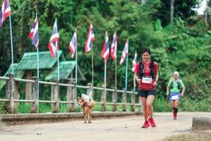 BIB: 
                            <button type="button" onclick="openModal(26942863)" class="btn btn-primary btn-sm float-right btn-popup" data-toggle="modal" data-target=".modal-high-quality">
                        <i class="fas fa-shopping-cart"></i> Add to Cart
                    </button>
                                            <button type="button" onclick="isThisMe(26942863, true)" class="btn btn-success btn-sm float-right btn-popup btn-isme hidden" data-toggle="tooltip" data-placement="bottom" title="นี่คือรูปของคุณใช่ไหม คลิกที่นี่เพื่อเอาเข้าอัลบั้ม">
                        <i class="fas fa-plus"></i> Add to album
                    </button>
                    <button type="button" onclick="isThisMe(26942863, false)" class="btn btn-warning btn-sm float-right btn-popup btn-isnotme hidden">
                        <i class="fas fa-ban"></i> Remove from album
                    </button>