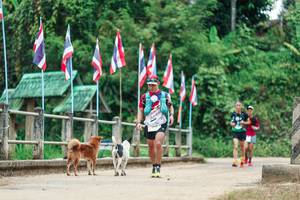 BIB: 
                            <button type="button" onclick="openModal(26943161)" class="btn btn-primary btn-sm float-right btn-popup" data-toggle="modal" data-target=".modal-high-quality">
                        <i class="fas fa-shopping-cart"></i> Add to Cart
                    </button>
                                            <button type="button" onclick="isThisMe(26943161, true)" class="btn btn-success btn-sm float-right btn-popup btn-isme hidden" data-toggle="tooltip" data-placement="bottom" title="นี่คือรูปของคุณใช่ไหม คลิกที่นี่เพื่อเอาเข้าอัลบั้ม">
                        <i class="fas fa-plus"></i> Add to album
                    </button>
                    <button type="button" onclick="isThisMe(26943161, false)" class="btn btn-warning btn-sm float-right btn-popup btn-isnotme hidden">
                        <i class="fas fa-ban"></i> Remove from album
                    </button>