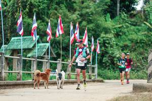 BIB: 
                            <button type="button" onclick="openModal(26943162)" class="btn btn-primary btn-sm float-right btn-popup" data-toggle="modal" data-target=".modal-high-quality">
                        <i class="fas fa-shopping-cart"></i> Add to Cart
                    </button>
                                            <button type="button" onclick="isThisMe(26943162, true)" class="btn btn-success btn-sm float-right btn-popup btn-isme hidden" data-toggle="tooltip" data-placement="bottom" title="นี่คือรูปของคุณใช่ไหม คลิกที่นี่เพื่อเอาเข้าอัลบั้ม">
                        <i class="fas fa-plus"></i> Add to album
                    </button>
                    <button type="button" onclick="isThisMe(26943162, false)" class="btn btn-warning btn-sm float-right btn-popup btn-isnotme hidden">
                        <i class="fas fa-ban"></i> Remove from album
                    </button>