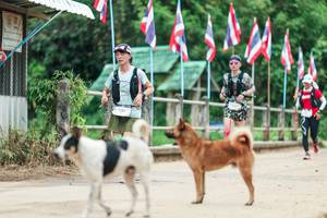 BIB: 
                            <button type="button" onclick="openModal(26943815)" class="btn btn-primary btn-sm float-right btn-popup" data-toggle="modal" data-target=".modal-high-quality">
                        <i class="fas fa-shopping-cart"></i> Add to Cart
                    </button>
                                            <button type="button" onclick="isThisMe(26943815, true)" class="btn btn-success btn-sm float-right btn-popup btn-isme hidden" data-toggle="tooltip" data-placement="bottom" title="นี่คือรูปของคุณใช่ไหม คลิกที่นี่เพื่อเอาเข้าอัลบั้ม">
                        <i class="fas fa-plus"></i> Add to album
                    </button>
                    <button type="button" onclick="isThisMe(26943815, false)" class="btn btn-warning btn-sm float-right btn-popup btn-isnotme hidden">
                        <i class="fas fa-ban"></i> Remove from album
                    </button>