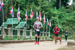 BIB: 
                            <button type="button" onclick="openModal(26942989)" class="btn btn-primary btn-sm float-right btn-popup" data-toggle="modal" data-target=".modal-high-quality">
                        <i class="fas fa-shopping-cart"></i> Add to Cart
                    </button>
                                            <button type="button" onclick="isThisMe(26942989, true)" class="btn btn-success btn-sm float-right btn-popup btn-isme hidden" data-toggle="tooltip" data-placement="bottom" title="นี่คือรูปของคุณใช่ไหม คลิกที่นี่เพื่อเอาเข้าอัลบั้ม">
                        <i class="fas fa-plus"></i> Add to album
                    </button>
                    <button type="button" onclick="isThisMe(26942989, false)" class="btn btn-warning btn-sm float-right btn-popup btn-isnotme hidden">
                        <i class="fas fa-ban"></i> Remove from album
                    </button>