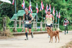 BIB: 
                            <button type="button" onclick="openModal(26943852)" class="btn btn-primary btn-sm float-right btn-popup" data-toggle="modal" data-target=".modal-high-quality">
                        <i class="fas fa-shopping-cart"></i> Add to Cart
                    </button>
                                            <button type="button" onclick="isThisMe(26943852, true)" class="btn btn-success btn-sm float-right btn-popup btn-isme hidden" data-toggle="tooltip" data-placement="bottom" title="นี่คือรูปของคุณใช่ไหม คลิกที่นี่เพื่อเอาเข้าอัลบั้ม">
                        <i class="fas fa-plus"></i> Add to album
                    </button>
                    <button type="button" onclick="isThisMe(26943852, false)" class="btn btn-warning btn-sm float-right btn-popup btn-isnotme hidden">
                        <i class="fas fa-ban"></i> Remove from album
                    </button>