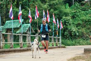 BIB: 
                            <button type="button" onclick="openModal(26943700)" class="btn btn-primary btn-sm float-right btn-popup" data-toggle="modal" data-target=".modal-high-quality">
                        <i class="fas fa-shopping-cart"></i> Add to Cart
                    </button>
                                            <button type="button" onclick="isThisMe(26943700, true)" class="btn btn-success btn-sm float-right btn-popup btn-isme hidden" data-toggle="tooltip" data-placement="bottom" title="นี่คือรูปของคุณใช่ไหม คลิกที่นี่เพื่อเอาเข้าอัลบั้ม">
                        <i class="fas fa-plus"></i> Add to album
                    </button>
                    <button type="button" onclick="isThisMe(26943700, false)" class="btn btn-warning btn-sm float-right btn-popup btn-isnotme hidden">
                        <i class="fas fa-ban"></i> Remove from album
                    </button>