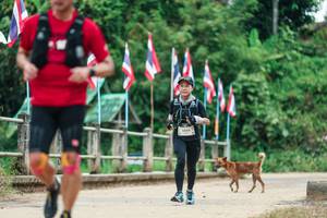 BIB: 
                            <button type="button" onclick="openModal(26942977)" class="btn btn-primary btn-sm float-right btn-popup" data-toggle="modal" data-target=".modal-high-quality">
                        <i class="fas fa-shopping-cart"></i> Add to Cart
                    </button>
                                            <button type="button" onclick="isThisMe(26942977, true)" class="btn btn-success btn-sm float-right btn-popup btn-isme hidden" data-toggle="tooltip" data-placement="bottom" title="นี่คือรูปของคุณใช่ไหม คลิกที่นี่เพื่อเอาเข้าอัลบั้ม">
                        <i class="fas fa-plus"></i> Add to album
                    </button>
                    <button type="button" onclick="isThisMe(26942977, false)" class="btn btn-warning btn-sm float-right btn-popup btn-isnotme hidden">
                        <i class="fas fa-ban"></i> Remove from album
                    </button>