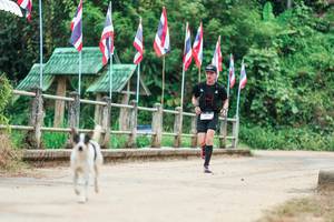 BIB: 
                            <button type="button" onclick="openModal(26944081)" class="btn btn-primary btn-sm float-right btn-popup" data-toggle="modal" data-target=".modal-high-quality">
                        <i class="fas fa-shopping-cart"></i> Add to Cart
                    </button>
                                            <button type="button" onclick="isThisMe(26944081, true)" class="btn btn-success btn-sm float-right btn-popup btn-isme hidden" data-toggle="tooltip" data-placement="bottom" title="นี่คือรูปของคุณใช่ไหม คลิกที่นี่เพื่อเอาเข้าอัลบั้ม">
                        <i class="fas fa-plus"></i> Add to album
                    </button>
                    <button type="button" onclick="isThisMe(26944081, false)" class="btn btn-warning btn-sm float-right btn-popup btn-isnotme hidden">
                        <i class="fas fa-ban"></i> Remove from album
                    </button>