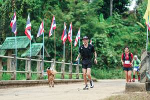 BIB: 
                            <button type="button" onclick="openModal(26942867)" class="btn btn-primary btn-sm float-right btn-popup" data-toggle="modal" data-target=".modal-high-quality">
                        <i class="fas fa-shopping-cart"></i> Add to Cart
                    </button>
                                            <button type="button" onclick="isThisMe(26942867, true)" class="btn btn-success btn-sm float-right btn-popup btn-isme hidden" data-toggle="tooltip" data-placement="bottom" title="นี่คือรูปของคุณใช่ไหม คลิกที่นี่เพื่อเอาเข้าอัลบั้ม">
                        <i class="fas fa-plus"></i> Add to album
                    </button>
                    <button type="button" onclick="isThisMe(26942867, false)" class="btn btn-warning btn-sm float-right btn-popup btn-isnotme hidden">
                        <i class="fas fa-ban"></i> Remove from album
                    </button>