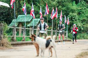 BIB: 
                            <button type="button" onclick="openModal(26943818)" class="btn btn-primary btn-sm float-right btn-popup" data-toggle="modal" data-target=".modal-high-quality">
                        <i class="fas fa-shopping-cart"></i> Add to Cart
                    </button>
                                            <button type="button" onclick="isThisMe(26943818, true)" class="btn btn-success btn-sm float-right btn-popup btn-isme hidden" data-toggle="tooltip" data-placement="bottom" title="นี่คือรูปของคุณใช่ไหม คลิกที่นี่เพื่อเอาเข้าอัลบั้ม">
                        <i class="fas fa-plus"></i> Add to album
                    </button>
                    <button type="button" onclick="isThisMe(26943818, false)" class="btn btn-warning btn-sm float-right btn-popup btn-isnotme hidden">
                        <i class="fas fa-ban"></i> Remove from album
                    </button>