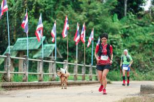 BIB: 
                            <button type="button" onclick="openModal(26942861)" class="btn btn-primary btn-sm float-right btn-popup" data-toggle="modal" data-target=".modal-high-quality">
                        <i class="fas fa-shopping-cart"></i> Add to Cart
                    </button>
                                            <button type="button" onclick="isThisMe(26942861, true)" class="btn btn-success btn-sm float-right btn-popup btn-isme hidden" data-toggle="tooltip" data-placement="bottom" title="นี่คือรูปของคุณใช่ไหม คลิกที่นี่เพื่อเอาเข้าอัลบั้ม">
                        <i class="fas fa-plus"></i> Add to album
                    </button>
                    <button type="button" onclick="isThisMe(26942861, false)" class="btn btn-warning btn-sm float-right btn-popup btn-isnotme hidden">
                        <i class="fas fa-ban"></i> Remove from album
                    </button>