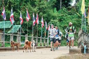 BIB: 
                            <button type="button" onclick="openModal(26942970)" class="btn btn-primary btn-sm float-right btn-popup" data-toggle="modal" data-target=".modal-high-quality">
                        <i class="fas fa-shopping-cart"></i> Add to Cart
                    </button>
                                            <button type="button" onclick="isThisMe(26942970, true)" class="btn btn-success btn-sm float-right btn-popup btn-isme hidden" data-toggle="tooltip" data-placement="bottom" title="นี่คือรูปของคุณใช่ไหม คลิกที่นี่เพื่อเอาเข้าอัลบั้ม">
                        <i class="fas fa-plus"></i> Add to album
                    </button>
                    <button type="button" onclick="isThisMe(26942970, false)" class="btn btn-warning btn-sm float-right btn-popup btn-isnotme hidden">
                        <i class="fas fa-ban"></i> Remove from album
                    </button>